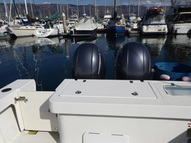 Transom cooler box