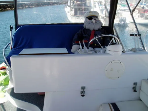 Captain at the helm