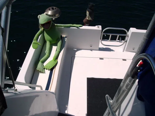 Kermit relaxing in the cockpit