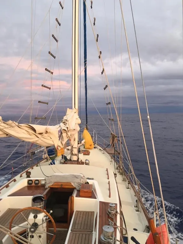 1976 Transpacific Marine 49