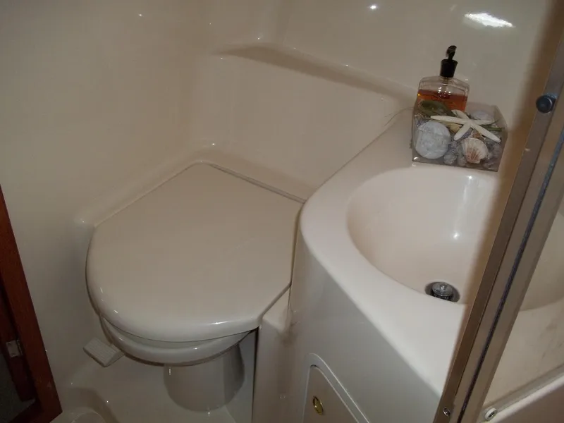 Master Head with Shower