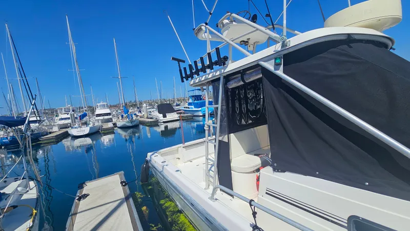 1992 Luhrs Tournament 300 boat docked in a marina with clear blue skies.