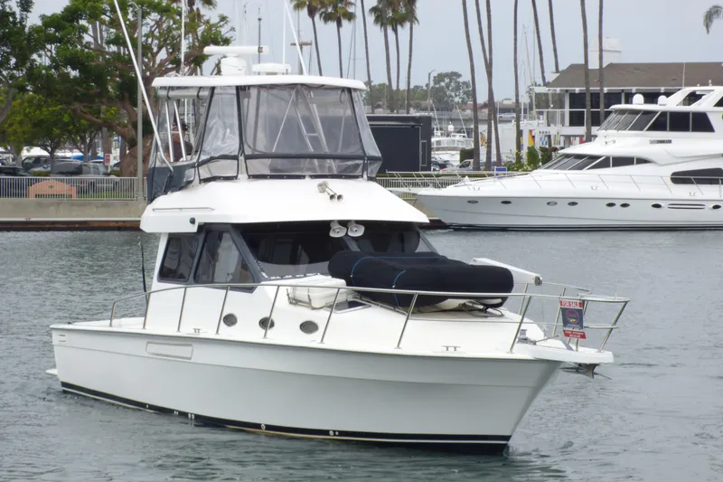 2003 Mediterranean 38 Convertible yacht docked in marina, surrounded by palm trees and other boats.