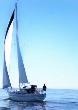 Jubilee Under Sail