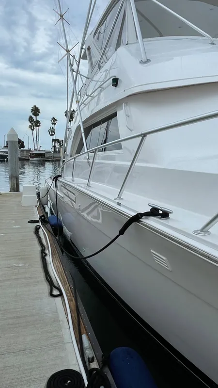 1995 Bertram 50 Convertible