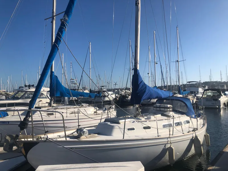 1980 Rival 32 sailboat docked in marina under sunny skies.
