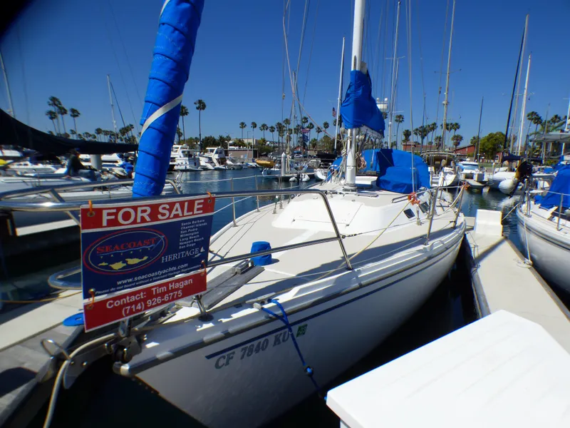 1984 Catalina 36 Sloop sailboat for sale at marina, blue covers, contact info displayed.