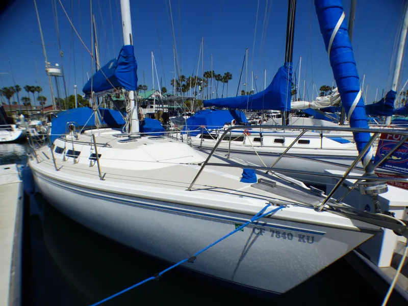 1984 Catalina 36 Sloop docked in marina, blue sail covers, clear sky.