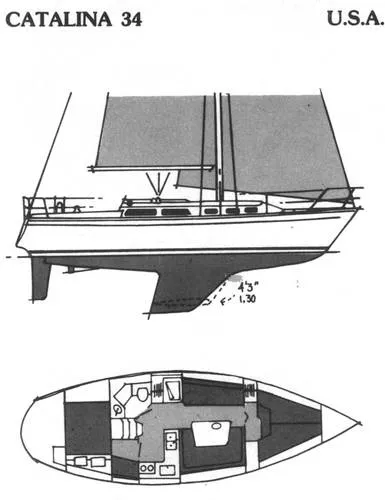 layout / line drawing