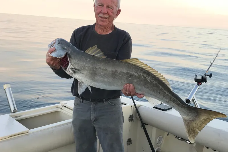 Man holding large fish on 2003 Albin 28 TE boat, ocean backdrop.