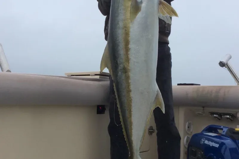 Person holding large fish on 2003 Albin 28 TE boat deck.