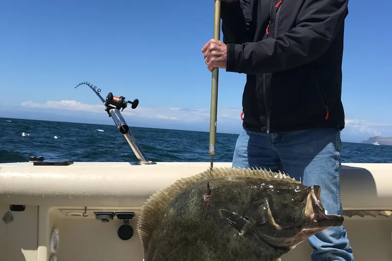 Man holding large fish on 2003 Albin 28 TE boat, ocean backdrop.