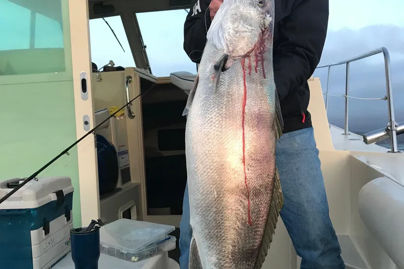 Person holding large fish on 2003 Albin 28 TE boat deck.