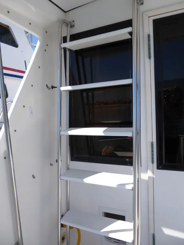 Ladder to Flybridge