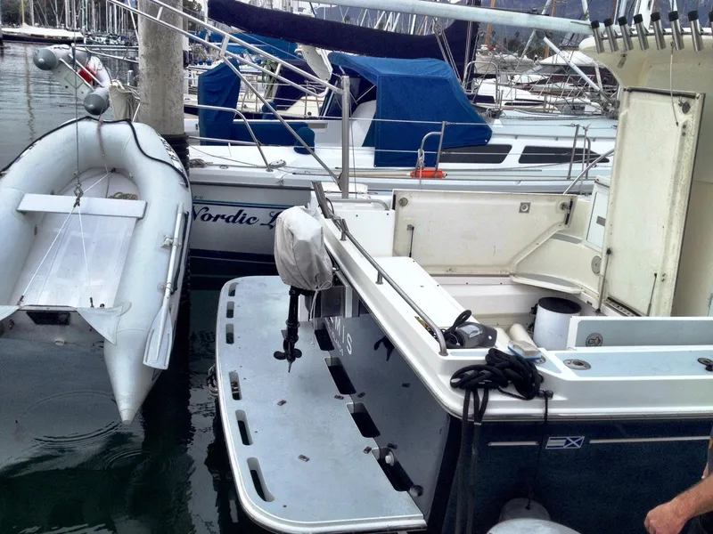 Tender on davit