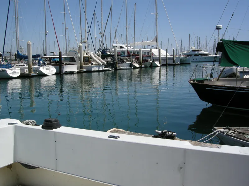 1991 Sea Sport Seamaster