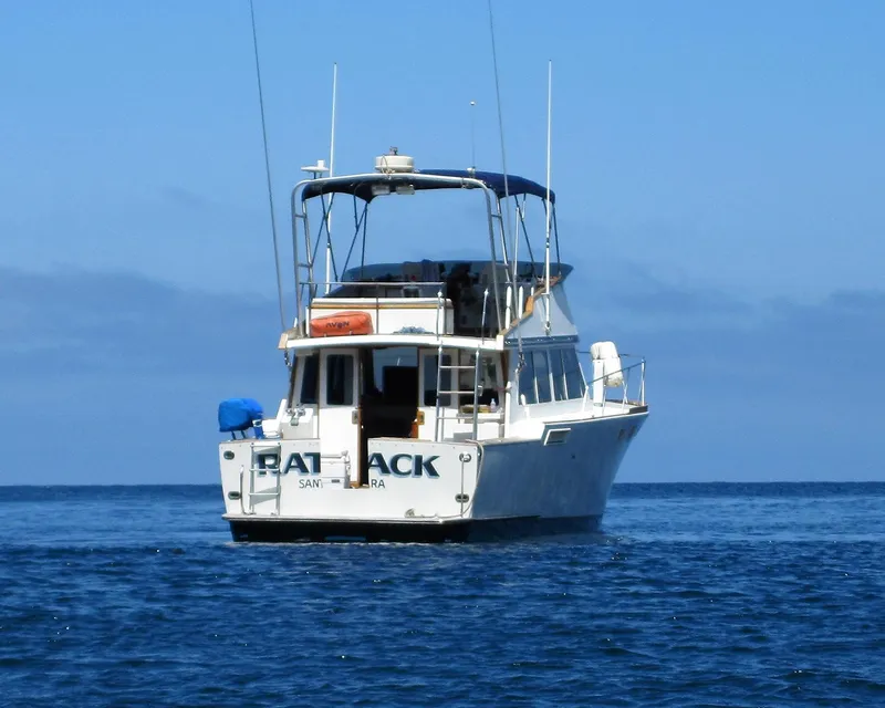 "Rat Pack" Stern view