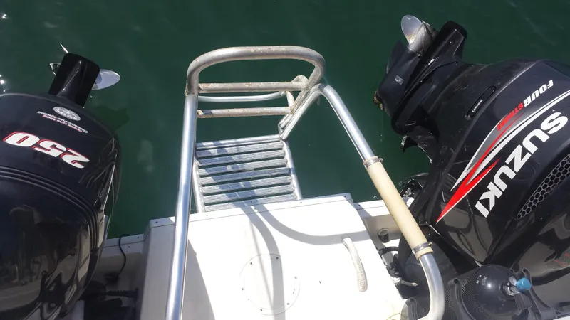 Fold-Down Swim Ladder w/ Hand Rails