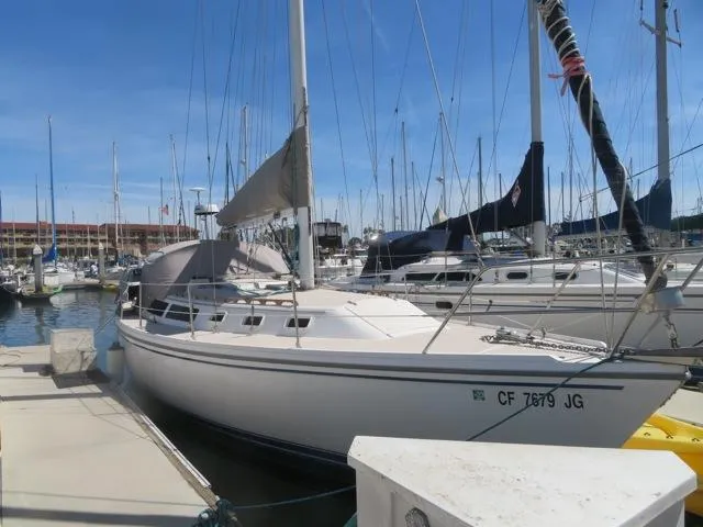 1986 Catalina 34 sailboat docked in a marina under a clear blue sky.
