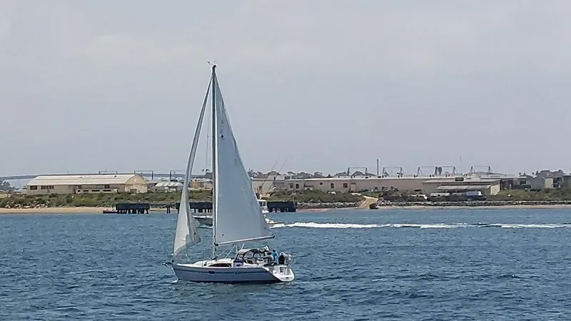 2021 Catalina 315