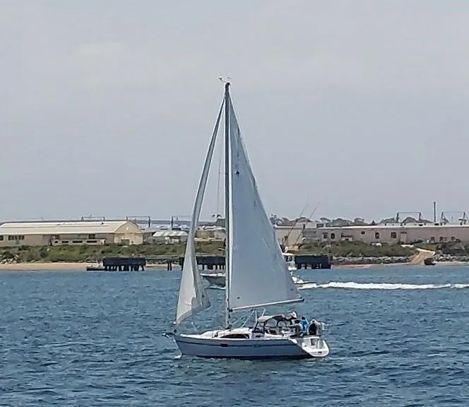 2021 Catalina 315