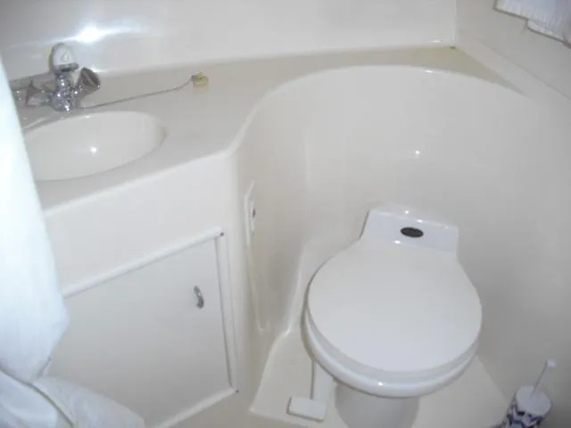 Head and shower