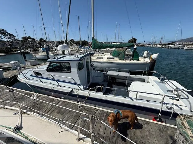 Radon Signature 26 boat docked at marina with a dog on the pier, 2007 model.