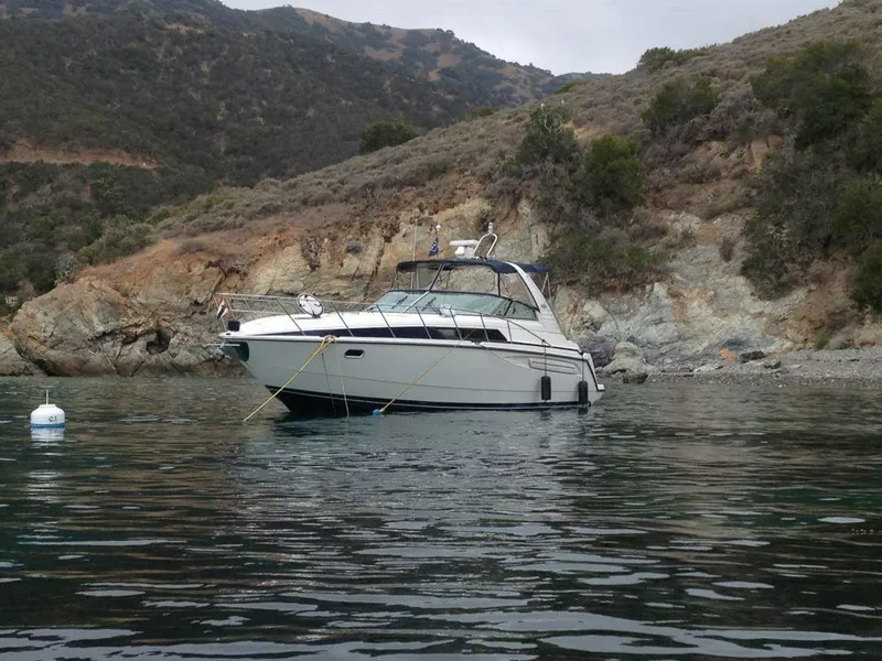 1998 Bayliner Avanti 3685 Sunbridge Express