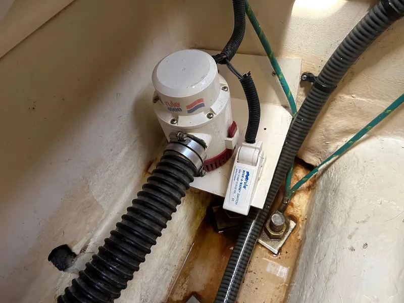 High Water Alarm and Pump