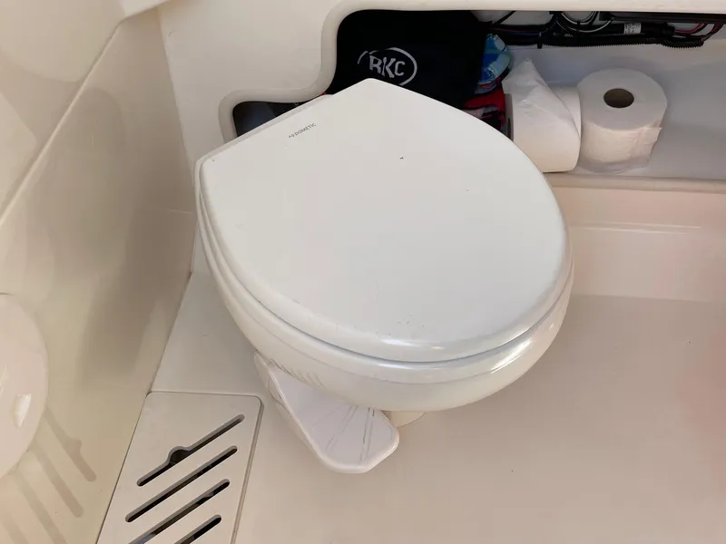 2020 Boston Whaler 250 Outrage