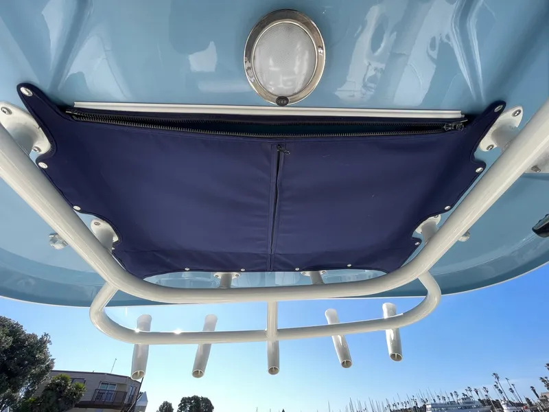2020 Boston Whaler 250 Outrage