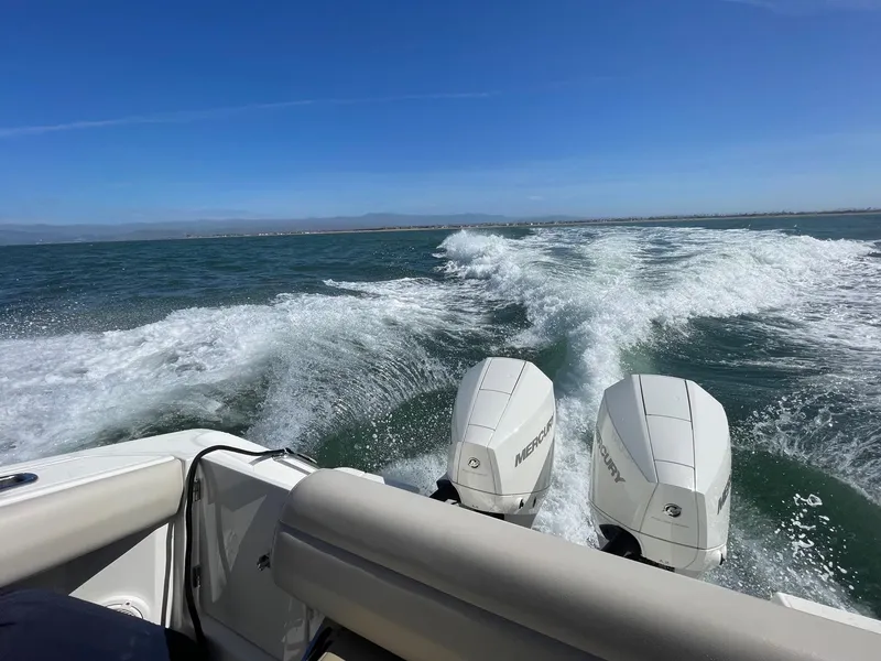 2020 Boston Whaler 250 Outrage