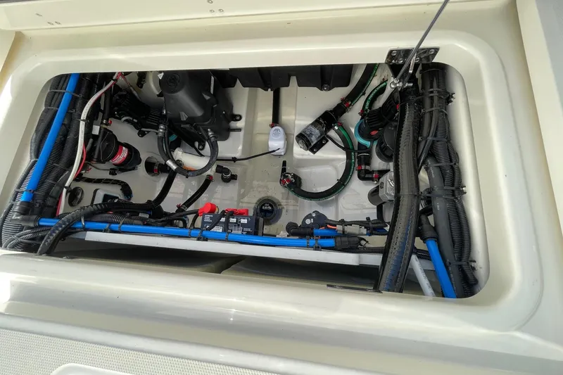 2020 Boston Whaler 250 Outrage