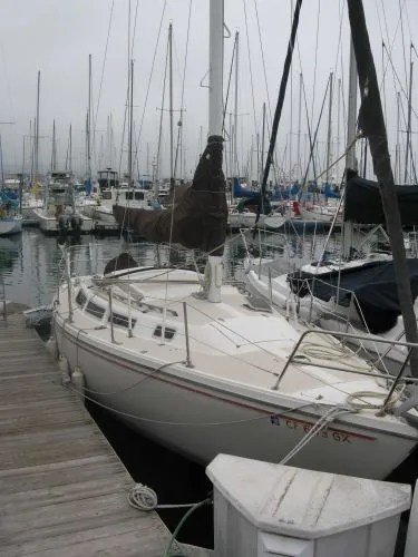 1982 Catalina Sloop
