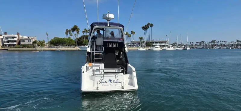1991 Bayliner 3058 Motoryacht