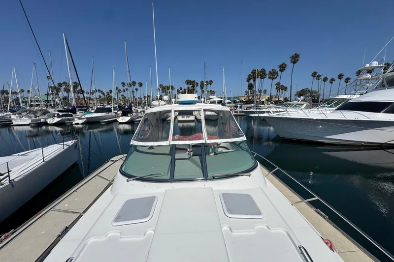 2003 Formula 37 Performance Cruiser docked in a marina with sailboats and palm trees.