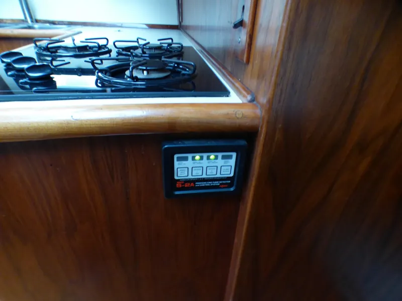 Propane control unit