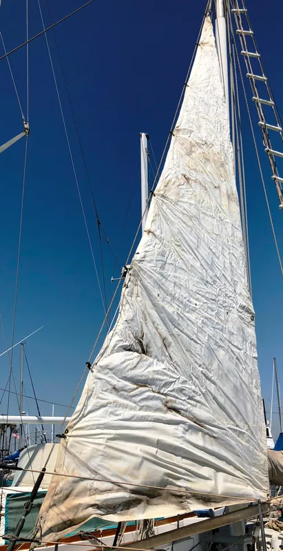 Staysail