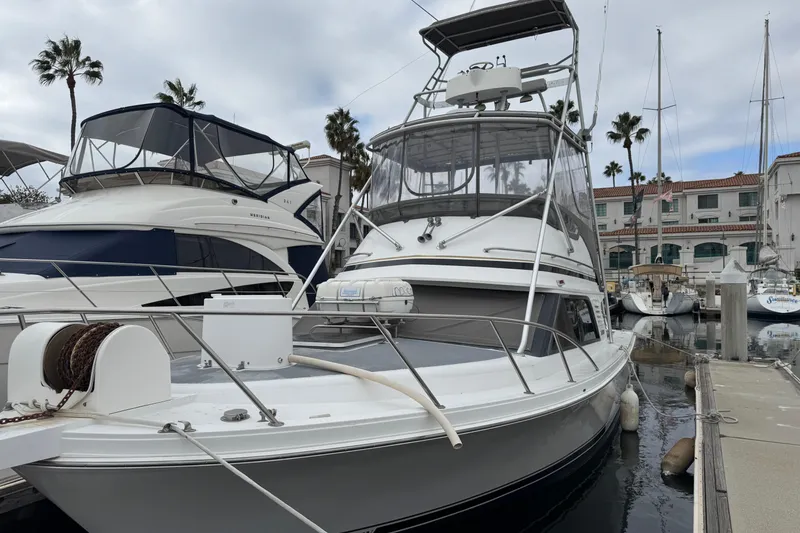1993 Blackfin Sportfisher boat docked at marina with palm trees and buildings in background.