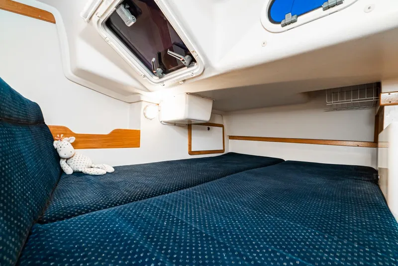 Primary Cabin