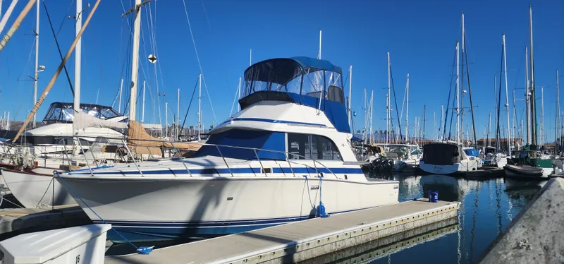 1985 Bertram 33 Flybridge Cruiser