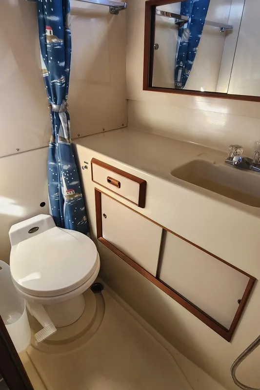 1985 Bertram 33 Flybridge Cruiser bathroom with toilet, sink, and nautical-themed shower curtain.