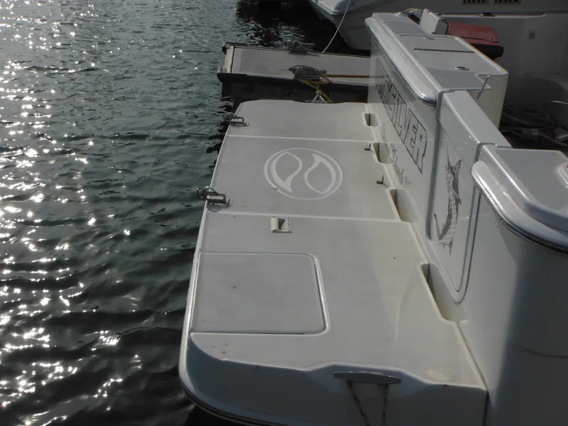 Swim platform + transom door