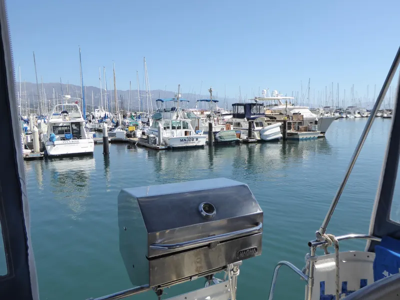 BBQ with a view