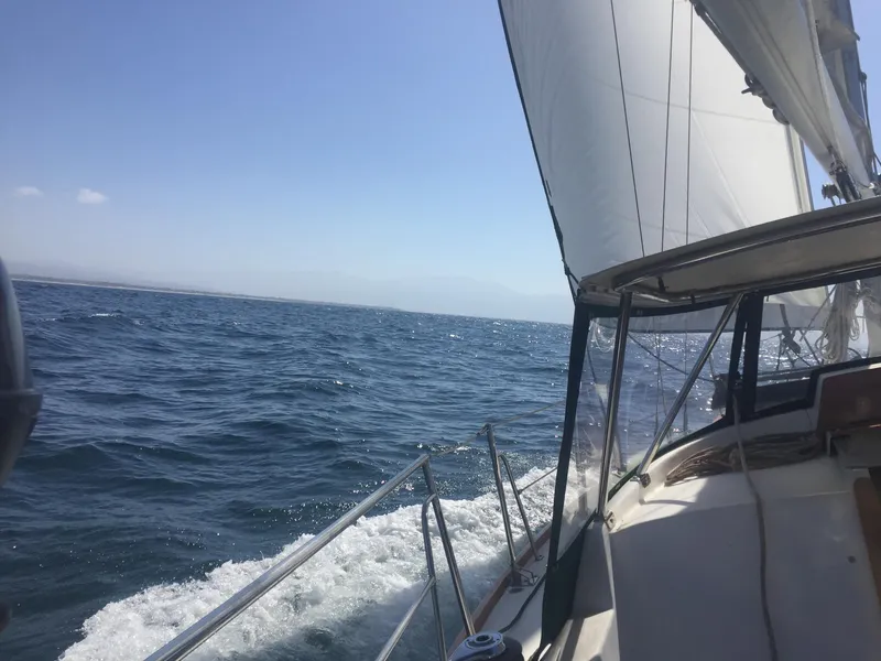 1980 Bristol 35.5
