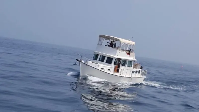 1978 Thompson Trawler
