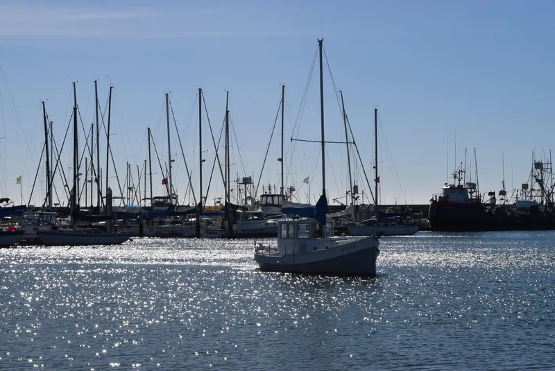 Pretty Little Boat