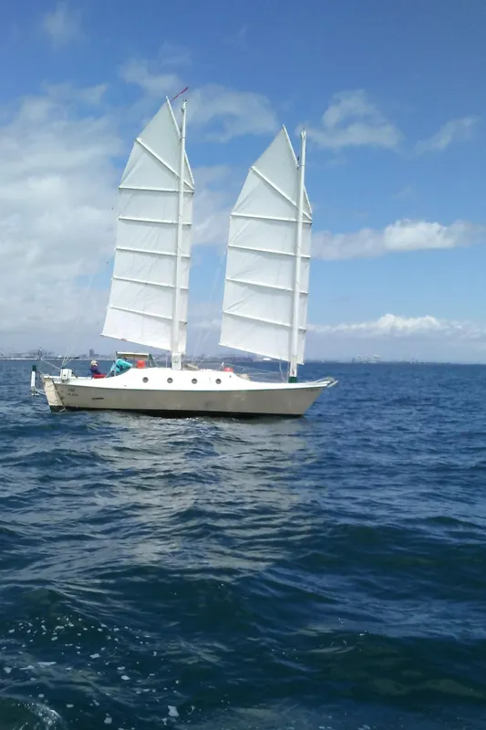 2017 Benford Dory