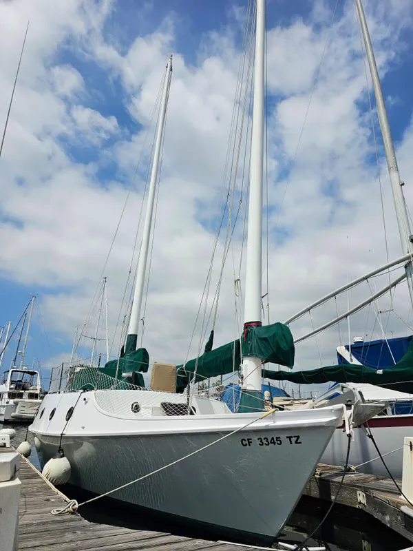 2017 Benford Dory