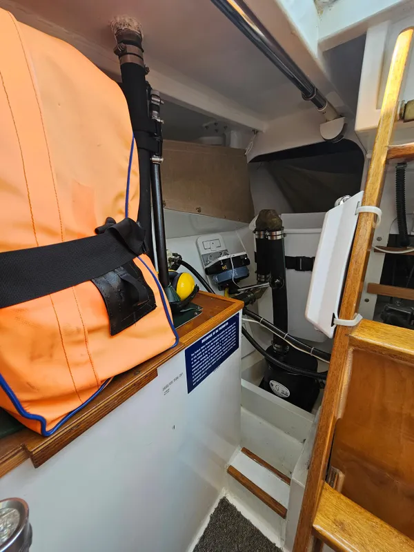 2017 Benford Dory